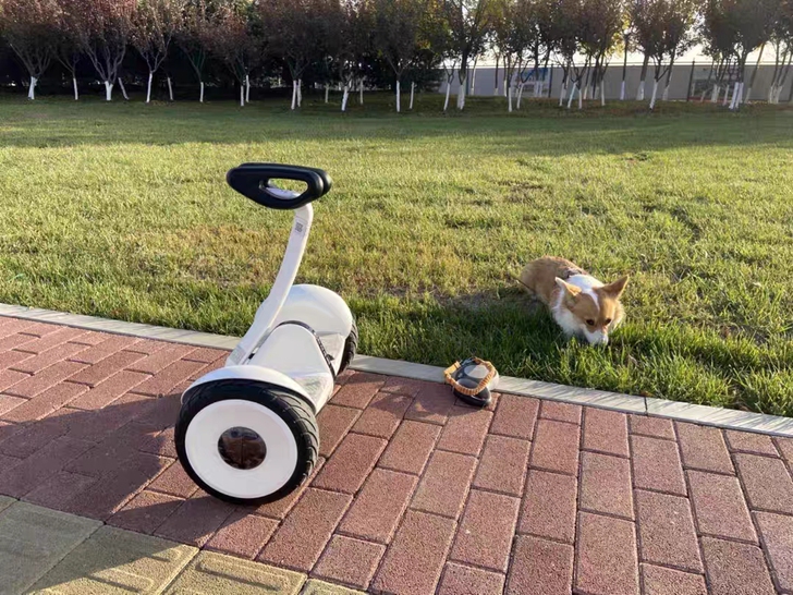 【全新包邮】小米米家九号腿控车平衡车体感智...