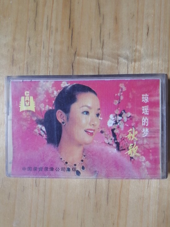 琼瑶歌集(二)奔向彩虹。正品磁带,