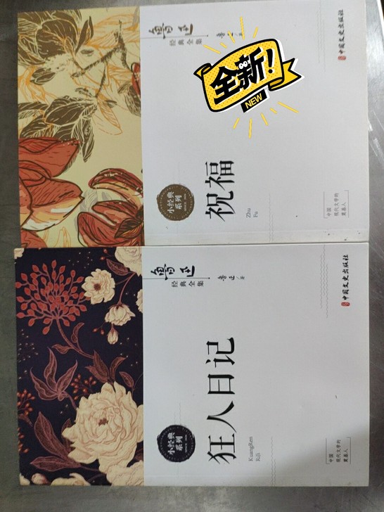 鲁迅文学集-狂人日记，祝福