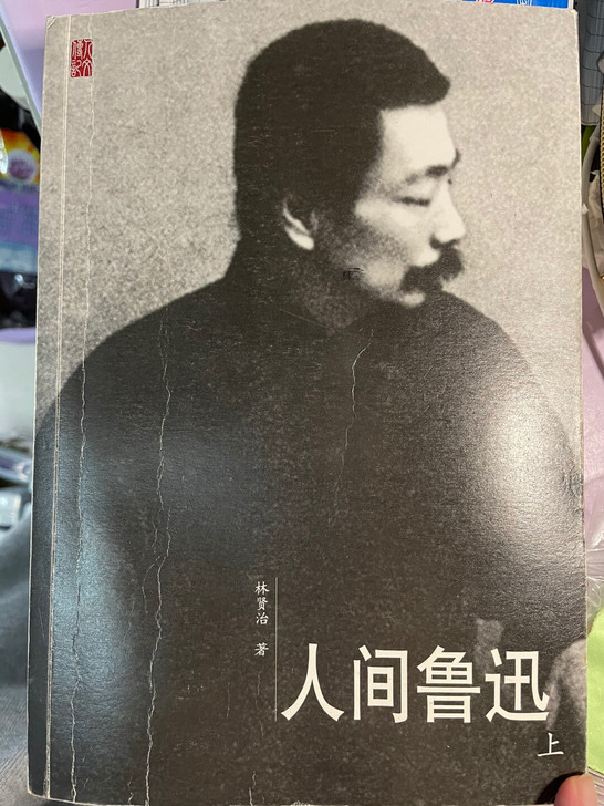 人间鲁迅 林贤治著 人民文学出版社 可小刀