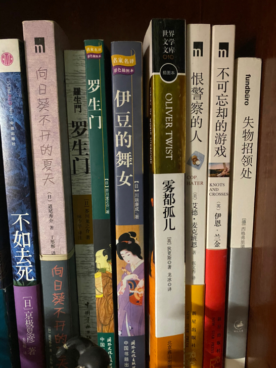 畅销小说，获奖小说，世界名著，推理小说