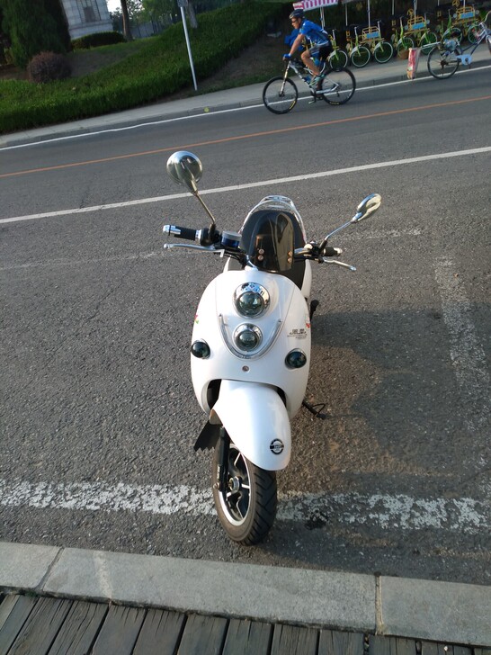 动力强劲，老牌凤凰电动车，闲置了，换钱。