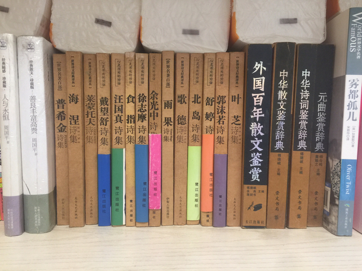 各种诗歌散文鉴赏什么的