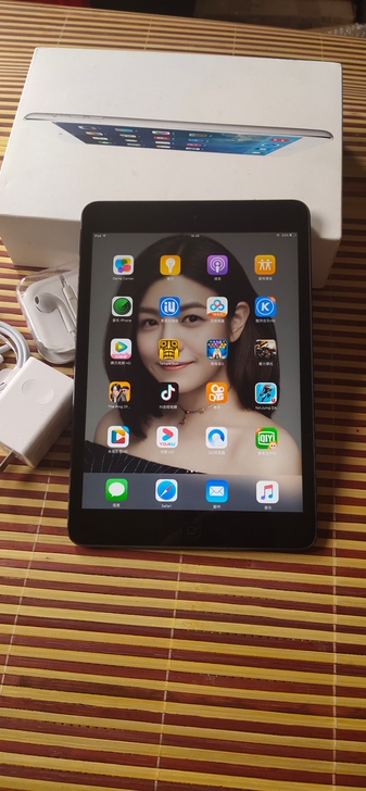 苹果平板  iPad mini， WiFi...