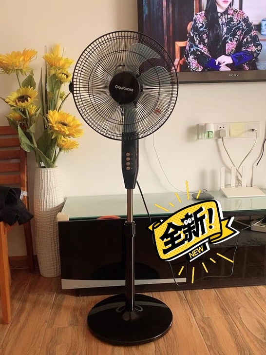 超市关门，处理20台长虹落地扇，全新72包...