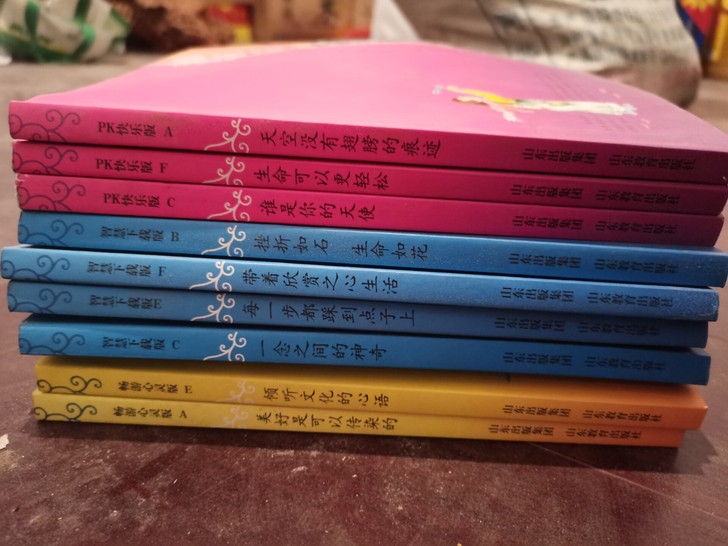 阅读迷系列丛书 全新的 买来没看过 ...