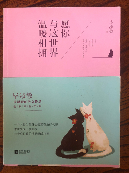 《愿你与这世界温暖相拥》毕淑敏优秀著作