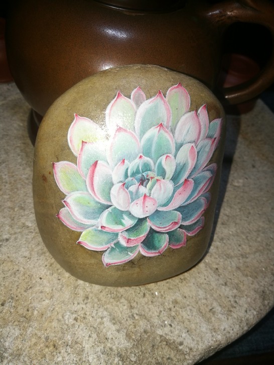 【手绘多肉】石头画##amp；bull；天...