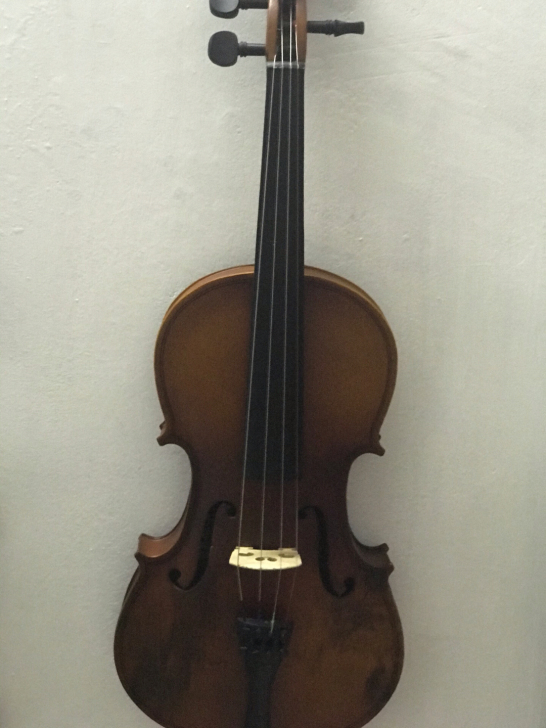 闲置一把4/4小提琴，没有弓，没有盒，照片...