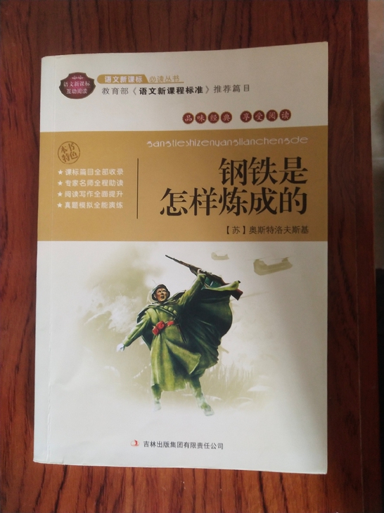 《钢铁是怎样炼成的》