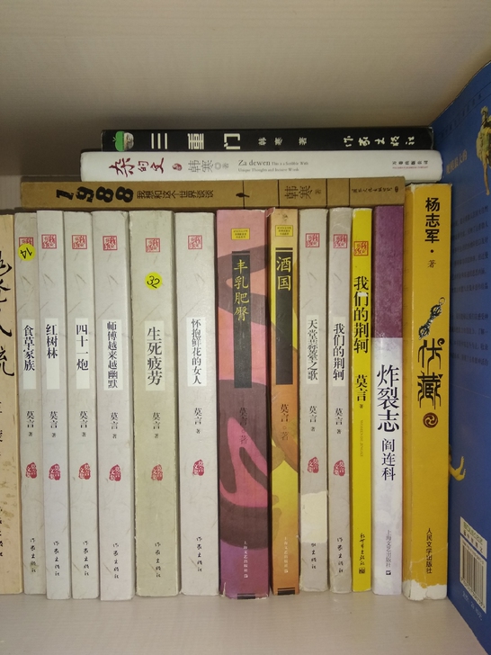 莫言     梁晓声  陈忠实  王蒙