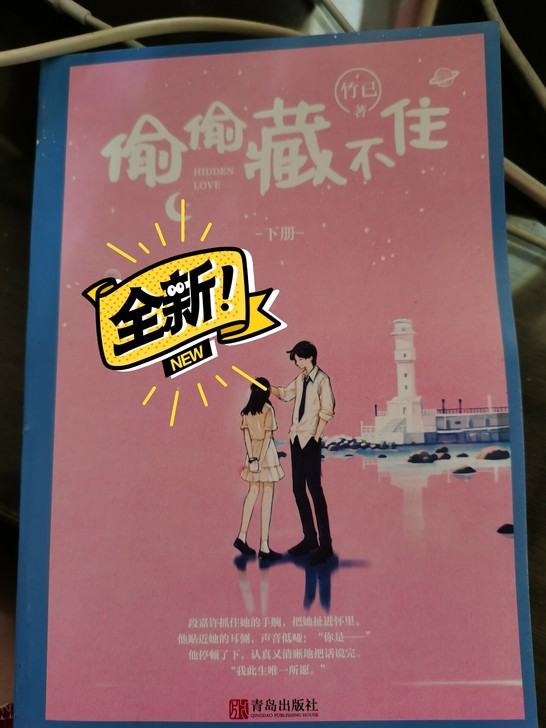 偷偷藏不住 全两册 竹已著青春文学校园言情...
