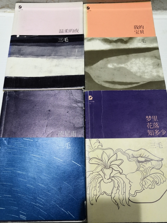 三毛《温柔的夜》《我的宝贝》《流星雨》《梦...