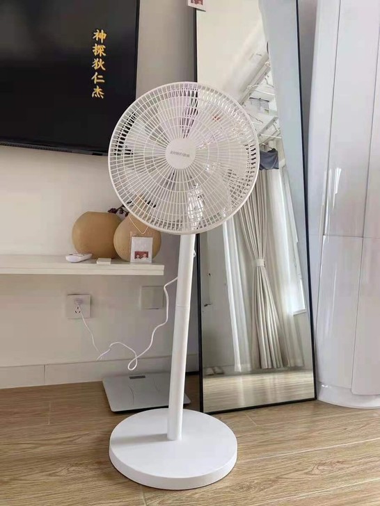 电风扇落地扇家用静音立台式遥控宿舍摇头工业...