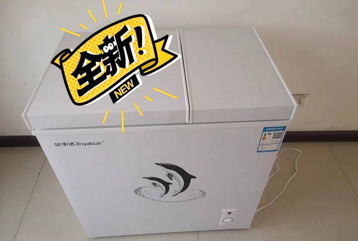 全新  荣事达冰柜家用小型全冷冻柜冷藏保鲜...