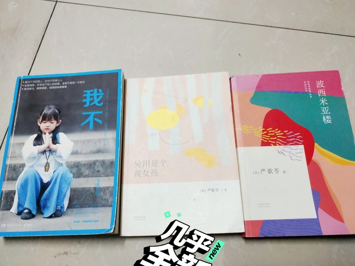 大冰的《我不》；严歌苓的《吴川是个黄女孩》...