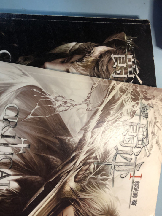 临界 爵迹12 郭敬明 最世文化 书比较新...