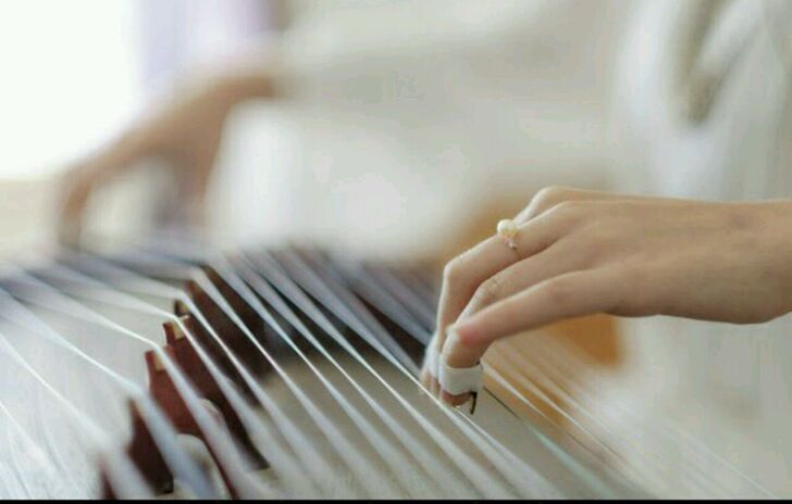 大同城区古筝299元10节课 暑期班，演出...