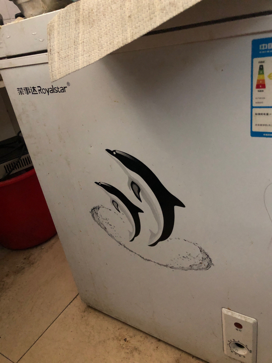 荣事达家用冷柜，调档旋钮不见了，不影响正常...