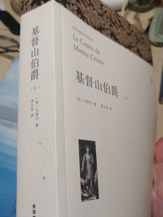 大仲马《基督山伯爵（下）》。