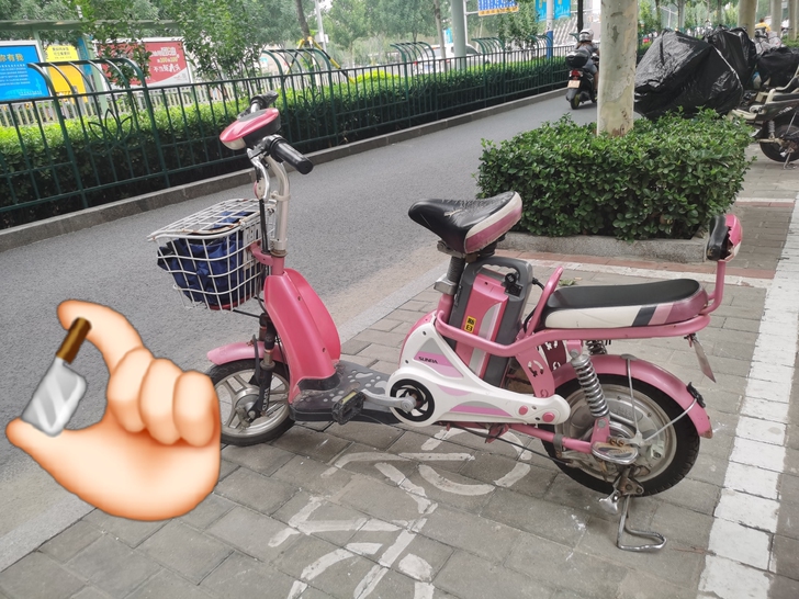 新日电动车,锂电池,小车很有动力