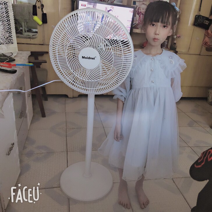 电风扇，59包邮全新，高120厘米