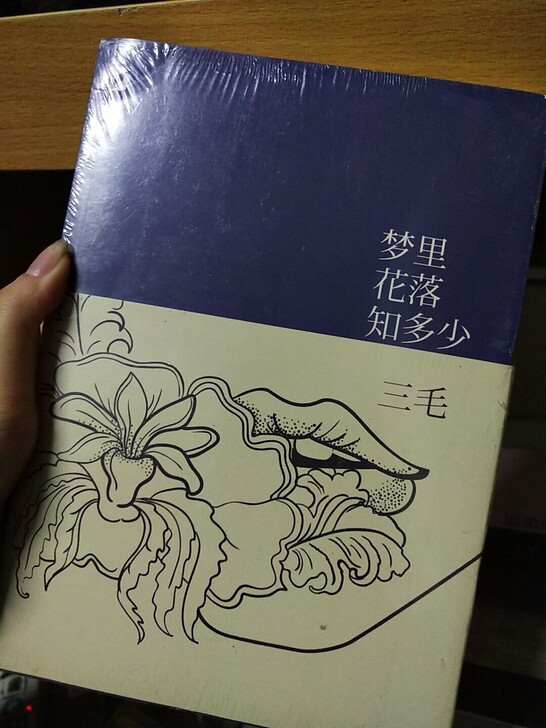 全新 三毛14本全集