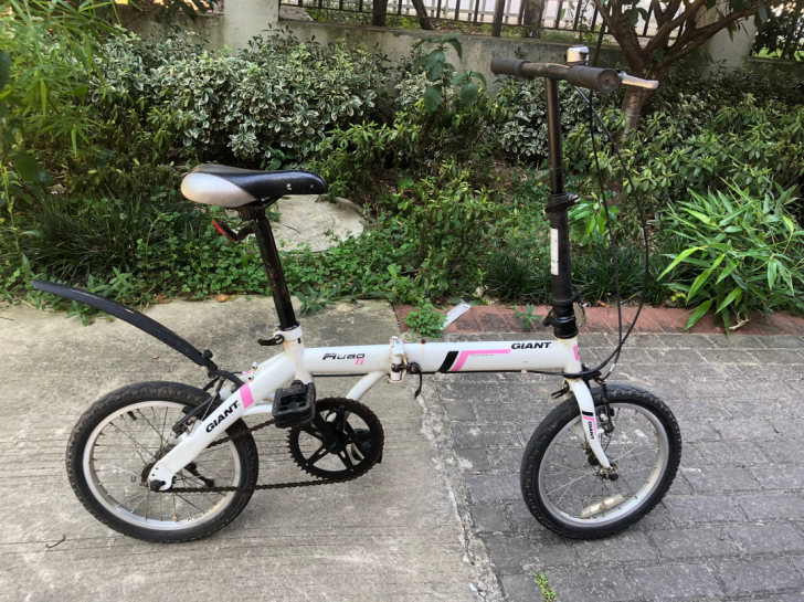 捷安特折叠自行车，很好骑，刹车灵敏，外观一...