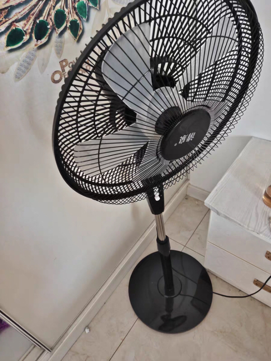 【只有50台!】电风扇家用落地扇大风立式工...