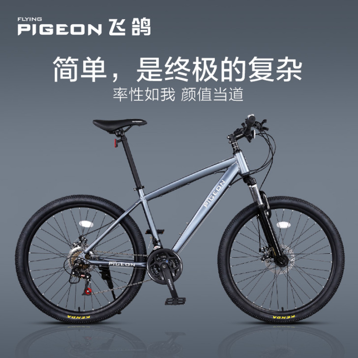 FLYING PIGEON/飞鸽 山地自行车