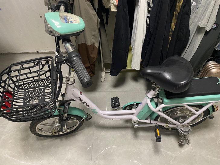 凤凰牌电动车