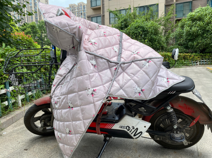 绿源小型电动车，新旧如图，瑕疵也已经拍出，...