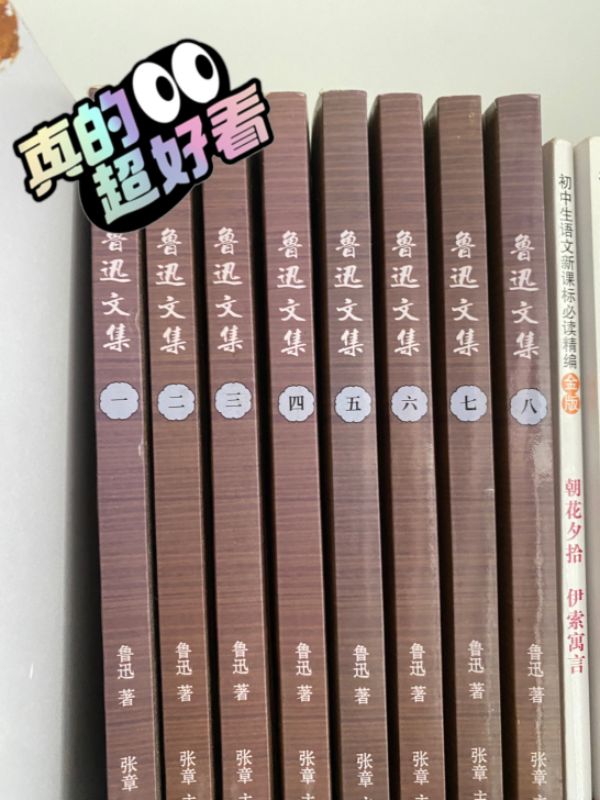 鲁迅文集 共八册