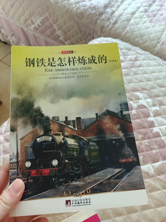 钢铁是怎样炼成的(全译本)
