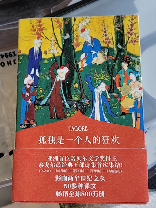 孤独是一个人的狂欢 泰戈尔 诗选