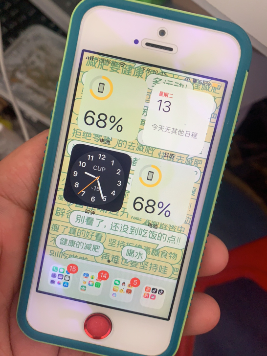 iPhonese美版无锁64G同城自取
