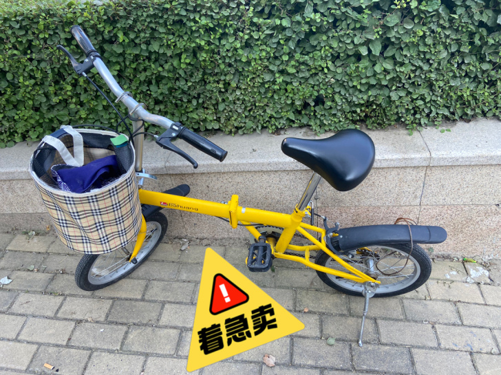 折叠自行车轻便好拿，陪我走过一个春夏秋冬，...