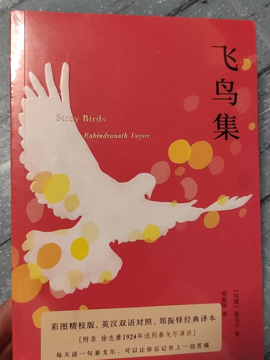 全新