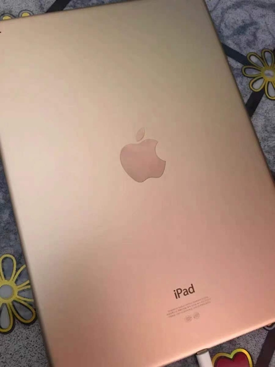 个人闲置 自用苹果ipad 2019款12...