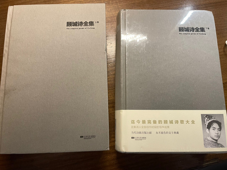 闲置书 顾城诗集上下卷