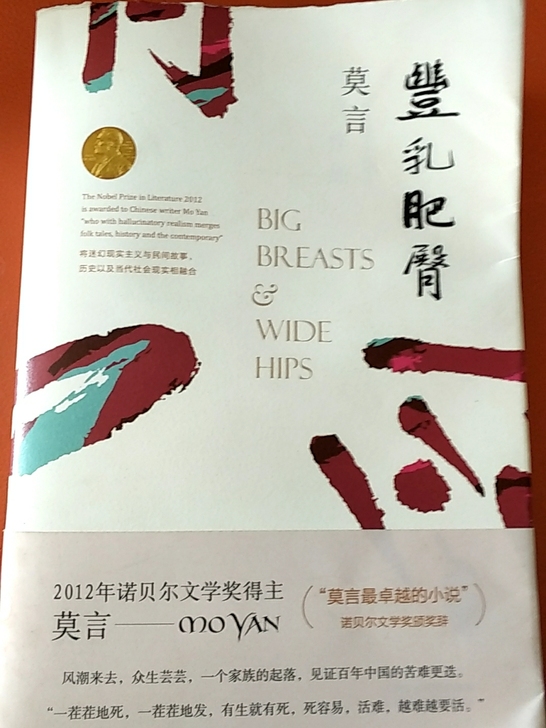 莫言《丰乳肥臀》