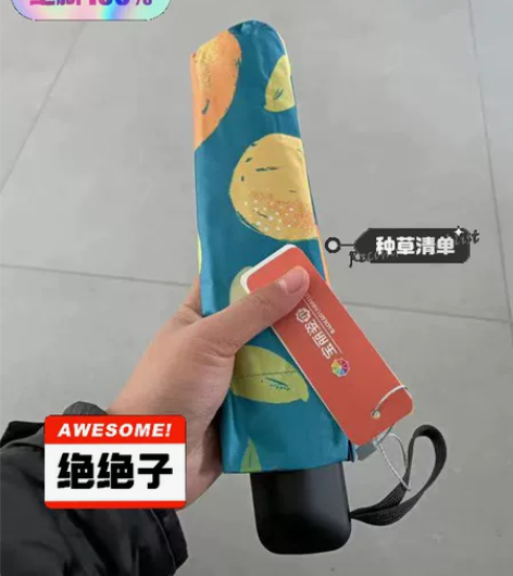 平价处理!全新包邮!宝丽姿小清新折叠晴雨两...