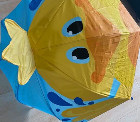 Stephen Joseph儿童3D创意雨...