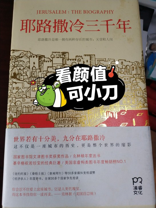 很不错的一本书，历史和城市爱好者应该会比较...