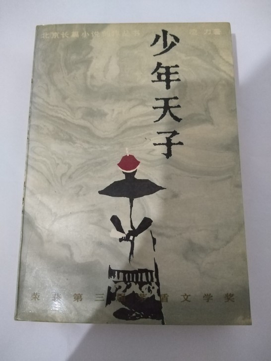第三届茅盾文学奖作品   凌力 小说《少年...