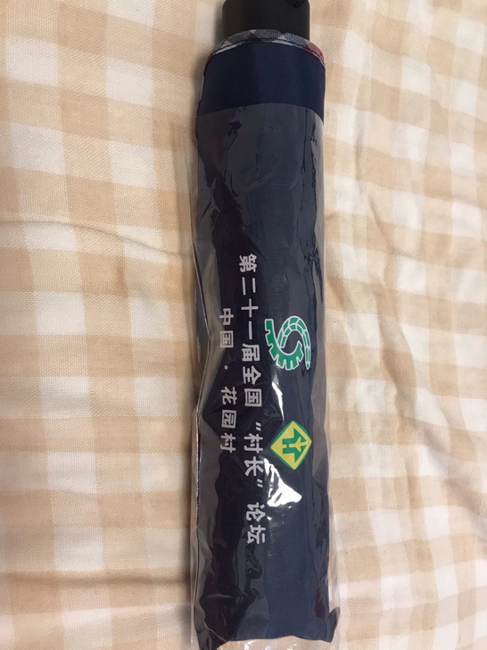 天堂伞，参加活动送的，便宜转了