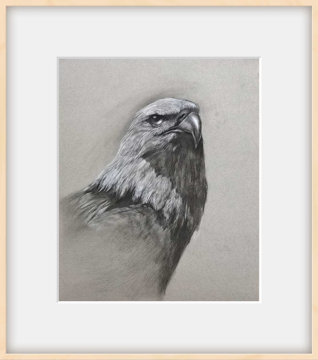 装饰素描作品 一组售出。