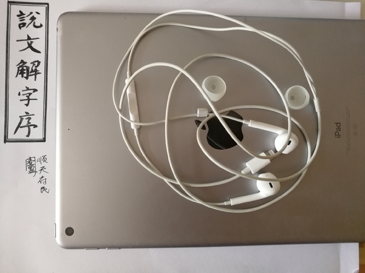 苹果耳机，用过几次后一直闲置，实拍图片，所...