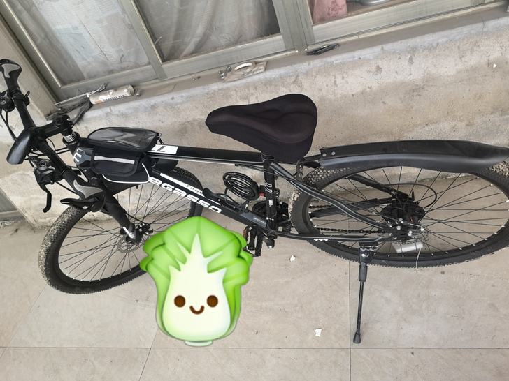 骑不到了，骑了没几次，变速好用