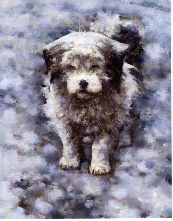 艾轩系列作品  微喷油画 材质：防水油画布...